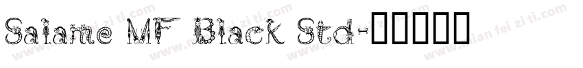 Salame MF Black Std字体转换